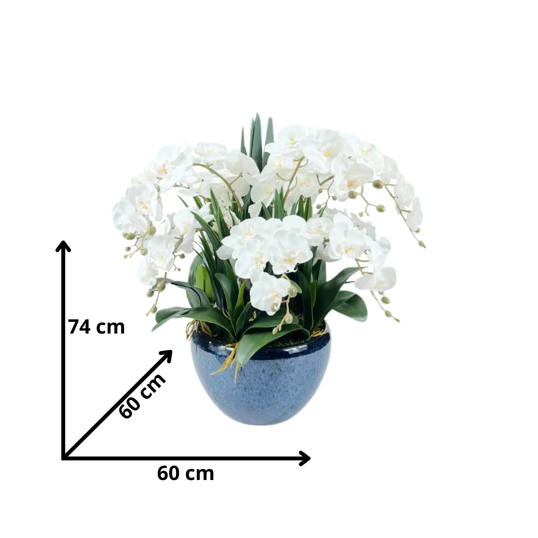 Weiße Orchidee in edler Vase – stilvolle Duftblumen für Büro oder Empfangsbereich