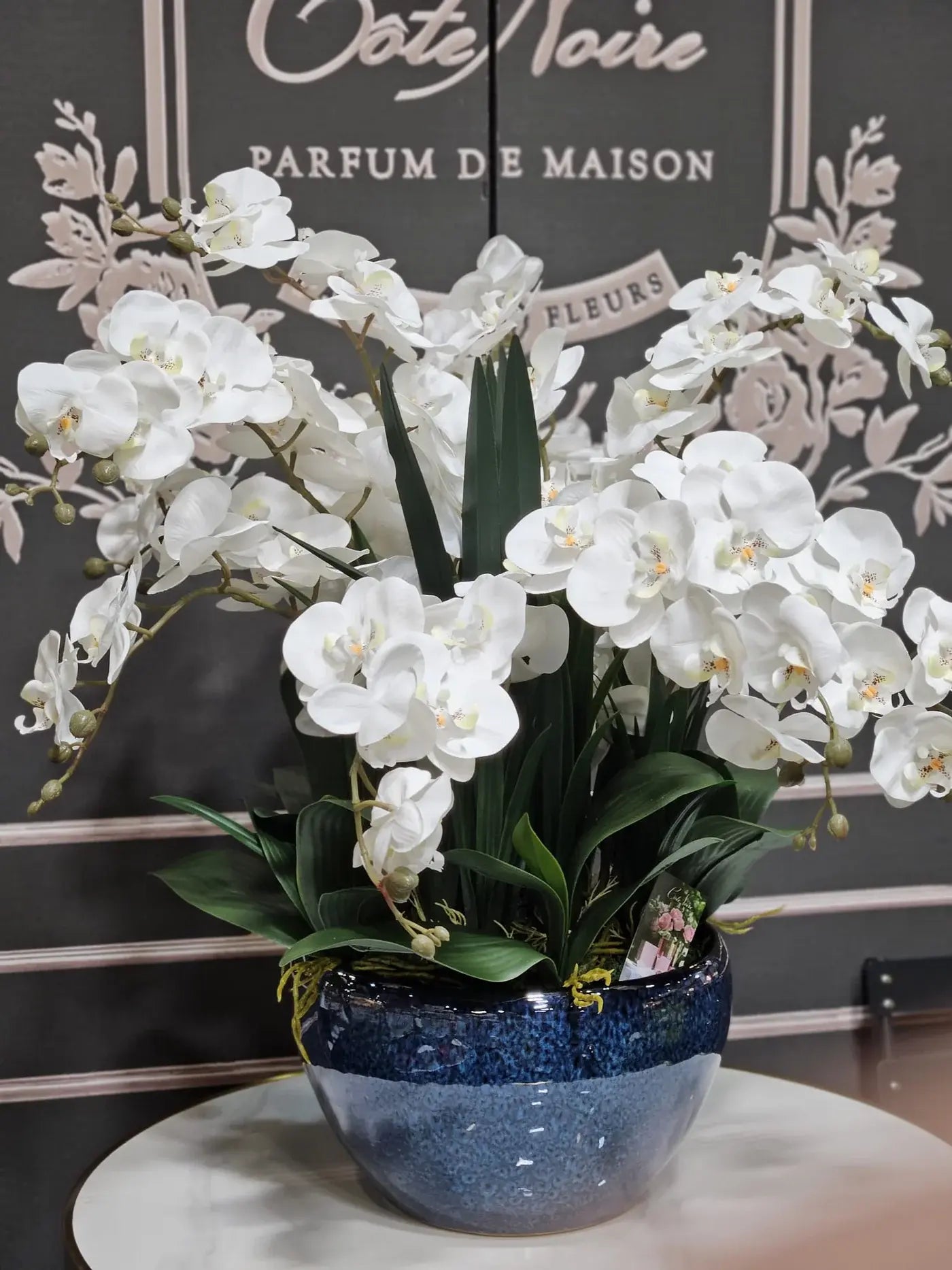 Edle weiße Orchidee in blauer Keramikvase – luxuriöse Duftblumen für Ihr Wohnzimmer