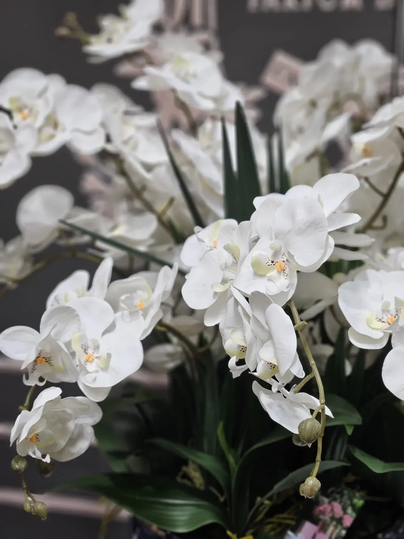 Naturgetreue Orchidee mit Parfum in kunstvoller Keramikvase – Dekoration mit Duftwirkung