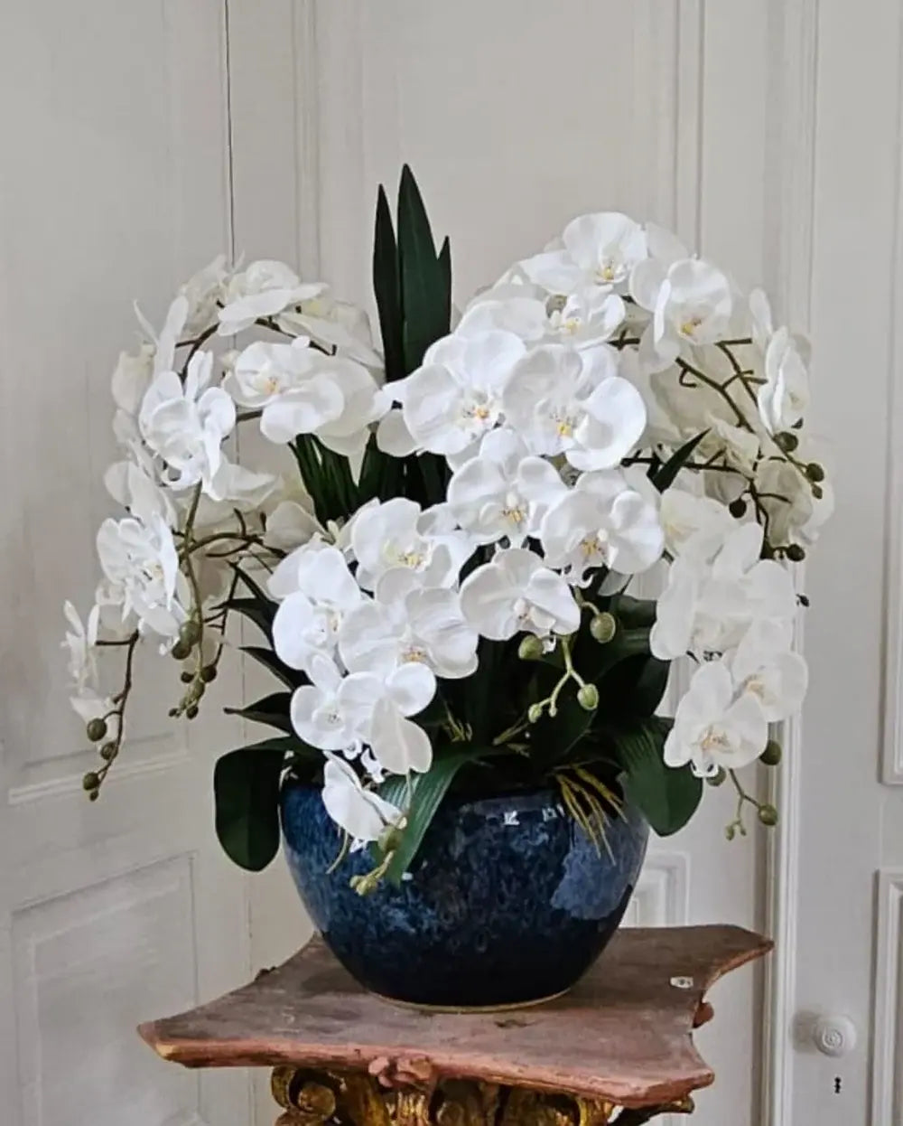 Opulente weiße Orchidee aus dem Duftblumen Shop – stilvoll und lebensecht