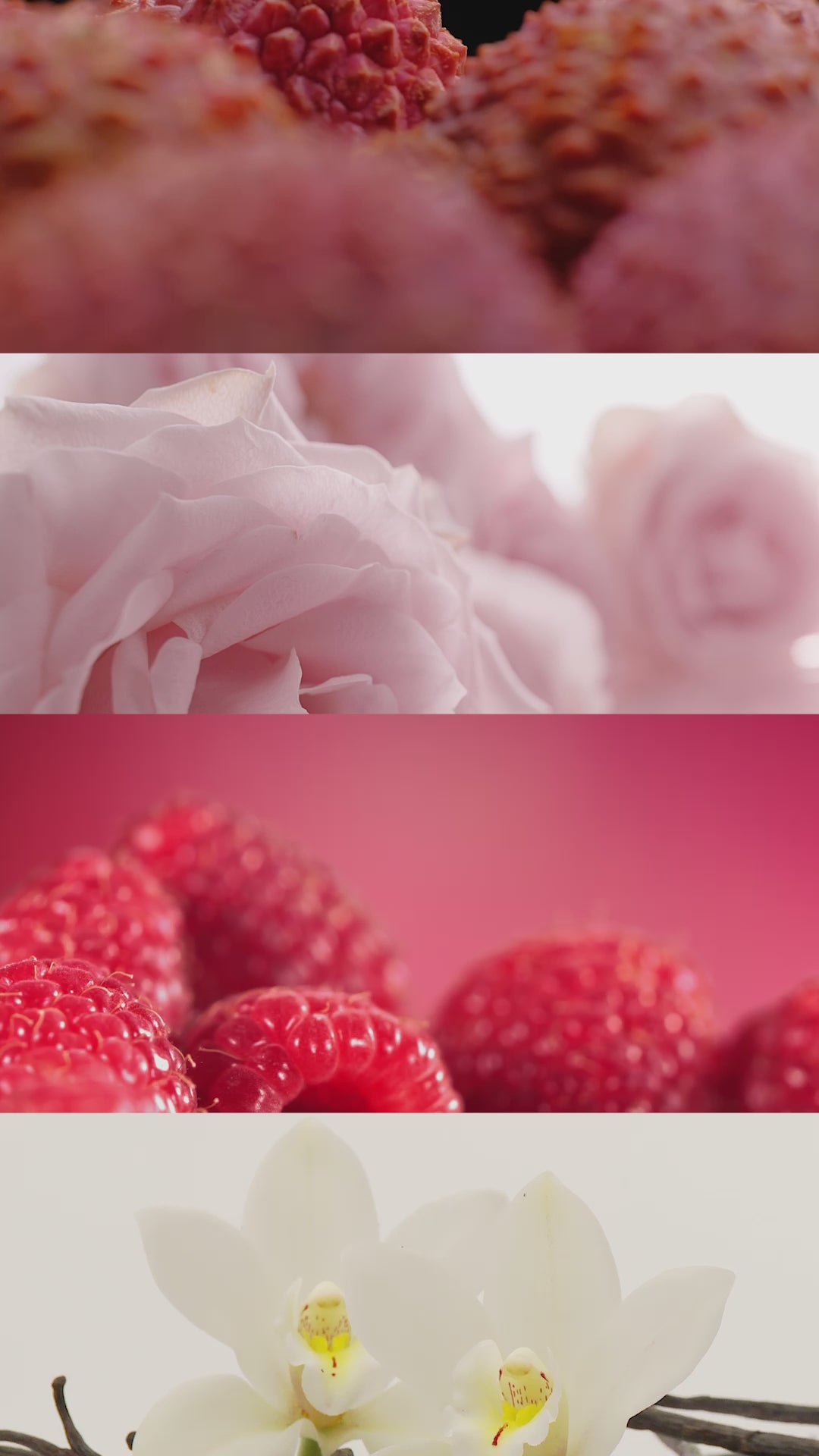 im parfum enthaltene duftnoten litchi, rose, framboise und vanilla.