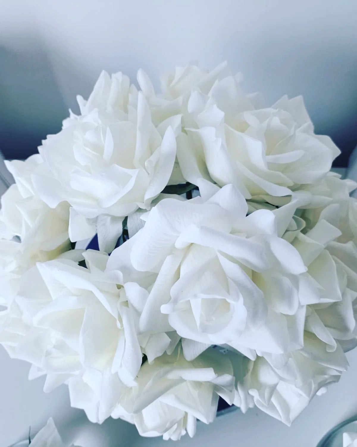 vogelperspektive auf weisse bluetenblaetter der luxury grand bouquet duftblume.