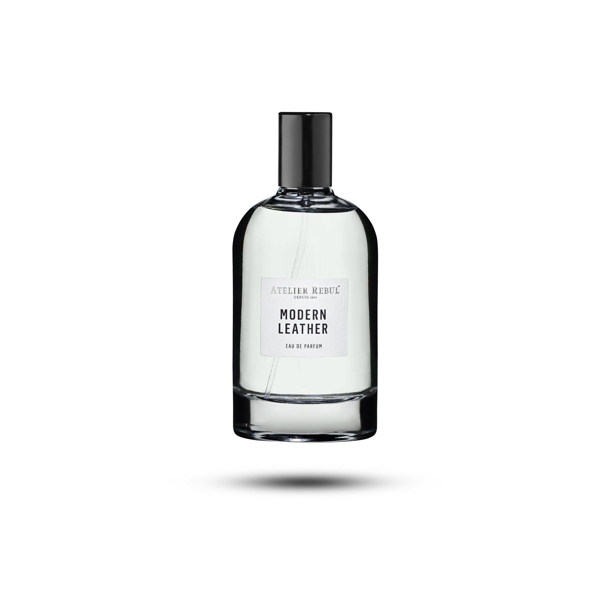 Modern Leather Eau de Parfum Men 100 ml