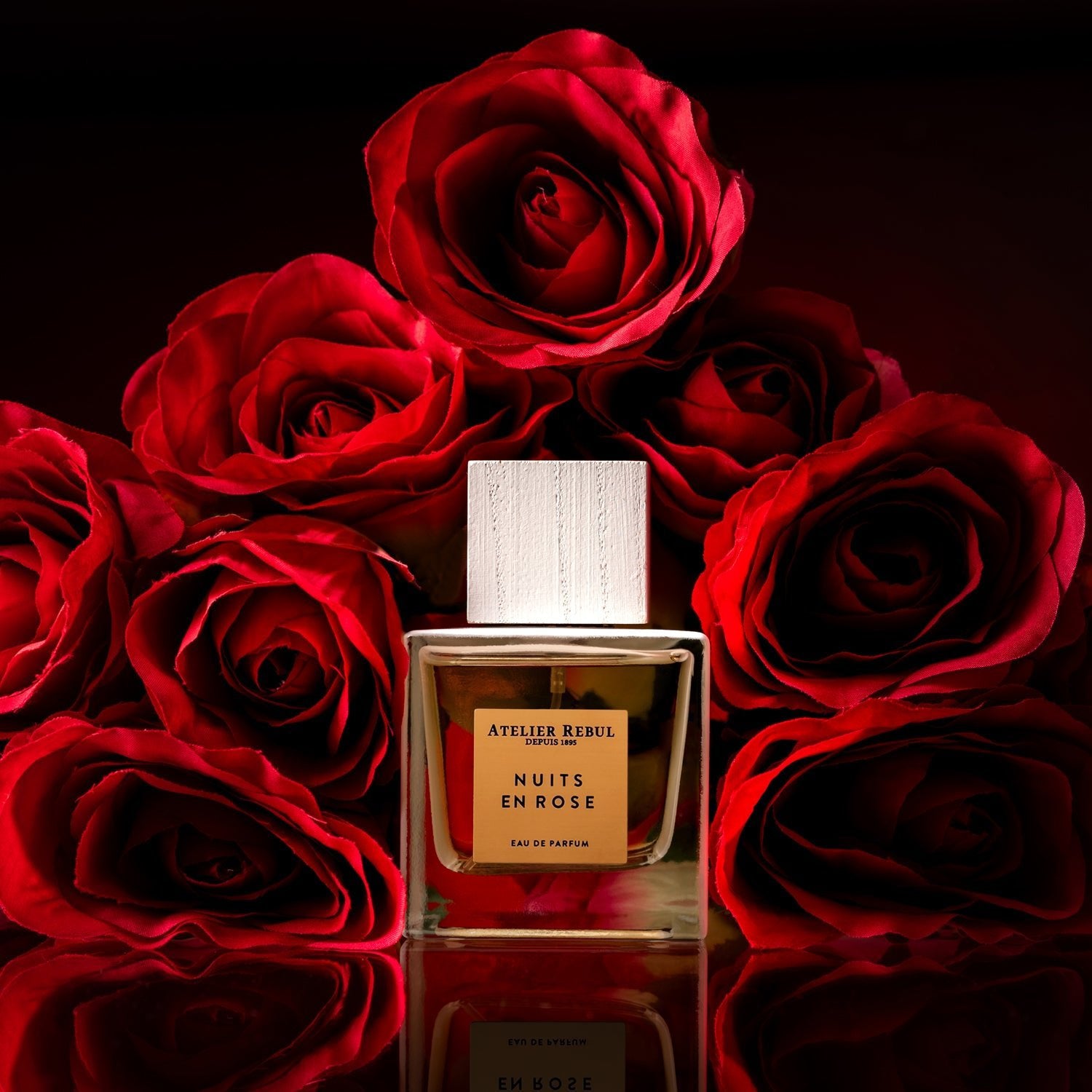rote rosenkoepfe die hinter dem atelier rebul nuits en rose liegen sonst schwarzer hintergrund