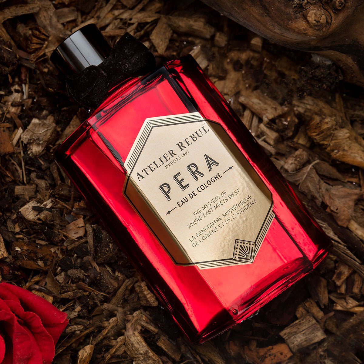 auf holzscheibchen liegt rechteckige glaenzende glasflasche von atelier rebul eau de cologne