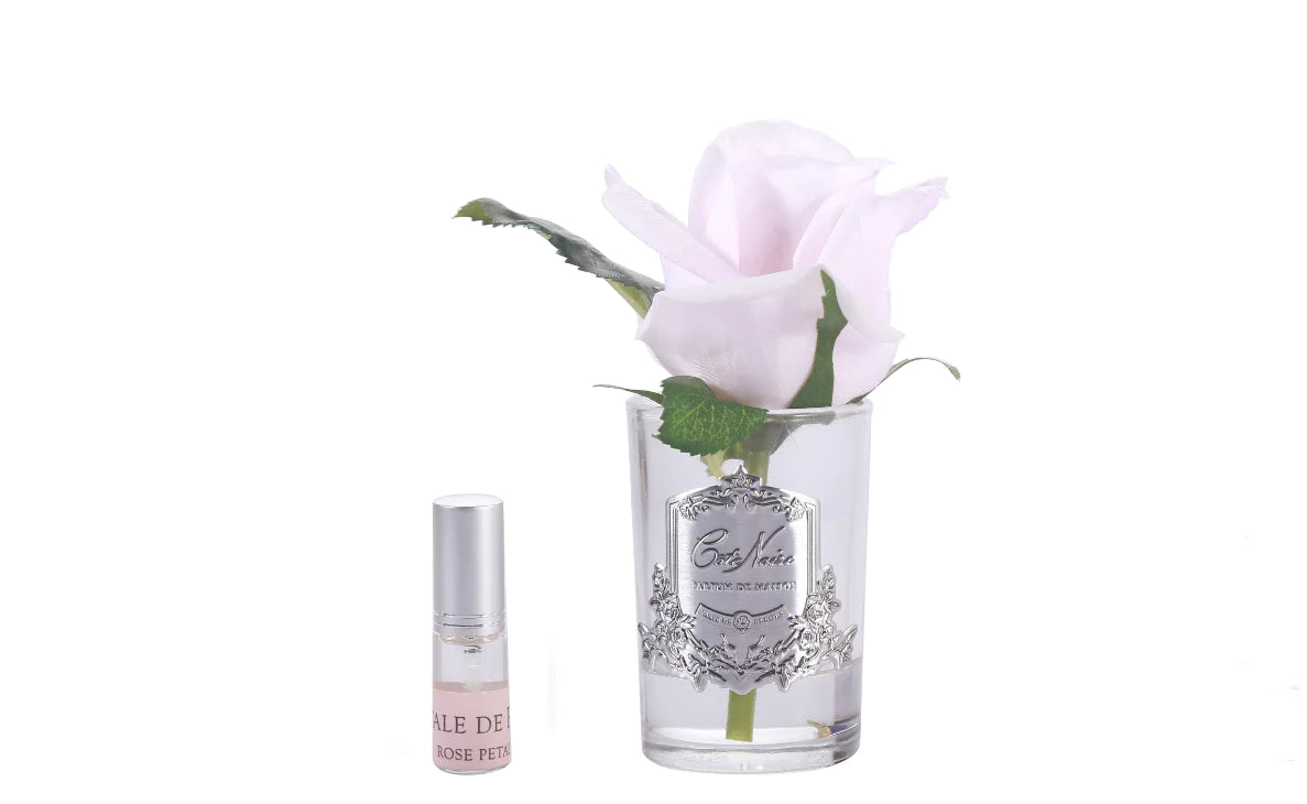 french pink rosenknospe in glas mit silbernem emblem neben rose petal duftspray. weisser hintergrund.