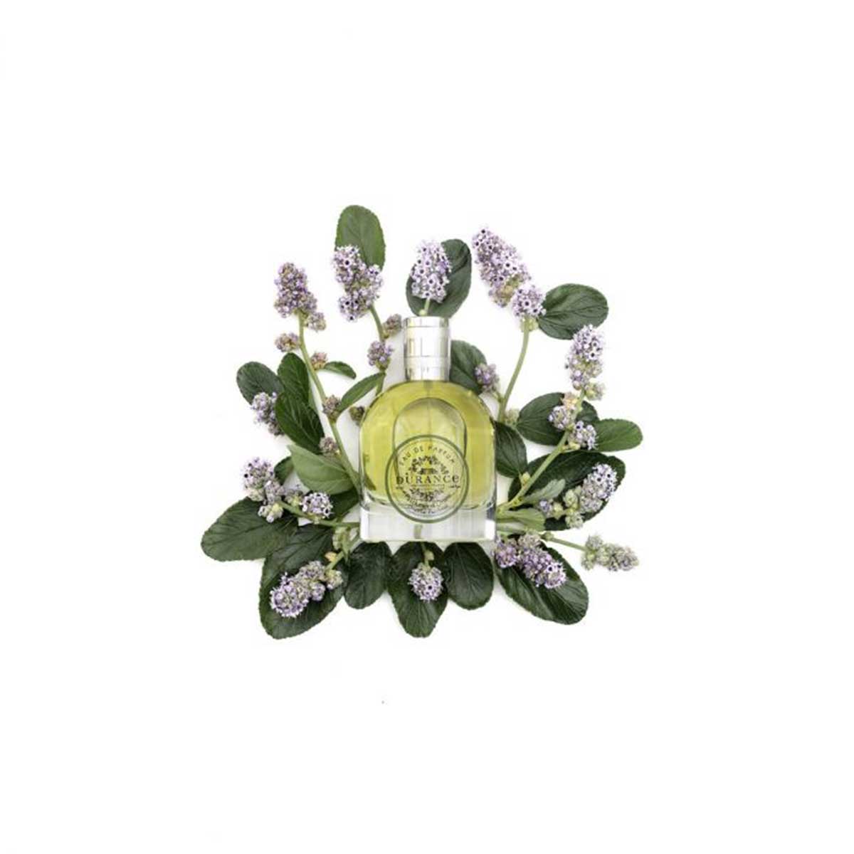 weisser hintergrund edp Patchouli Patchouliblueten und blaetter umhuellt die glasspruehflasche