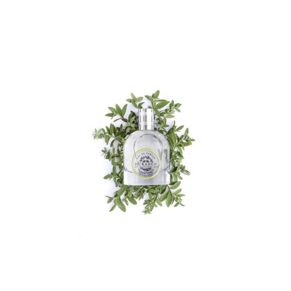 edp prickende Verbene glasflasche liegt eingebettet auf dem eisenkraut hintergrund weiss