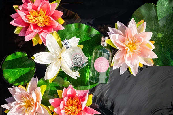 bunte seerosen umhuellen die halbrunde liegende spruehglasflasche edp zarte seerose