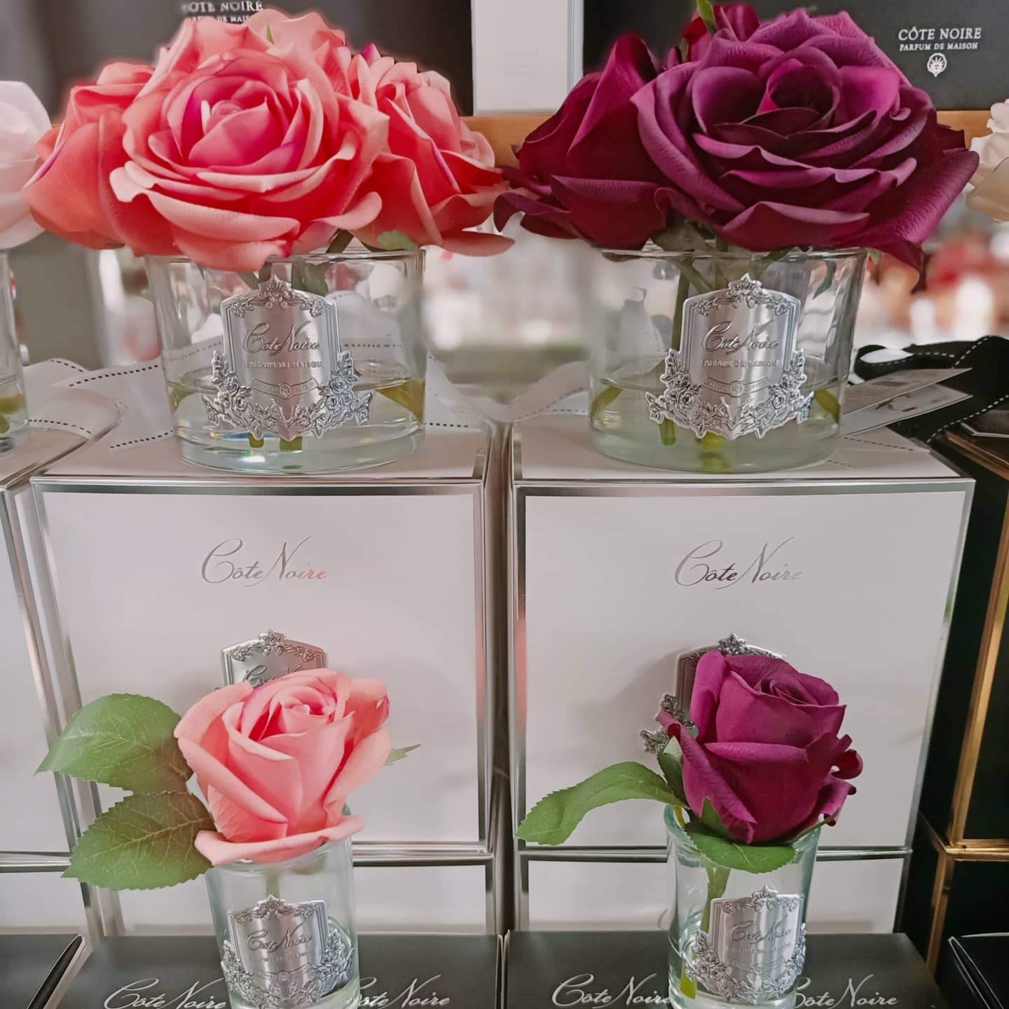 set aus 5 duftblumen und ringle rose in rosa und karminrot vor und auf weissen geschenkboxen.