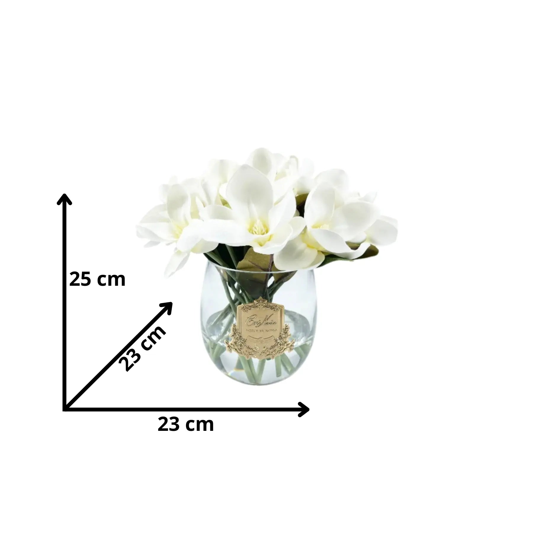 Weiße Magnolien in Glasvase – elegante Duftblumen für Ihr Badezimmer
