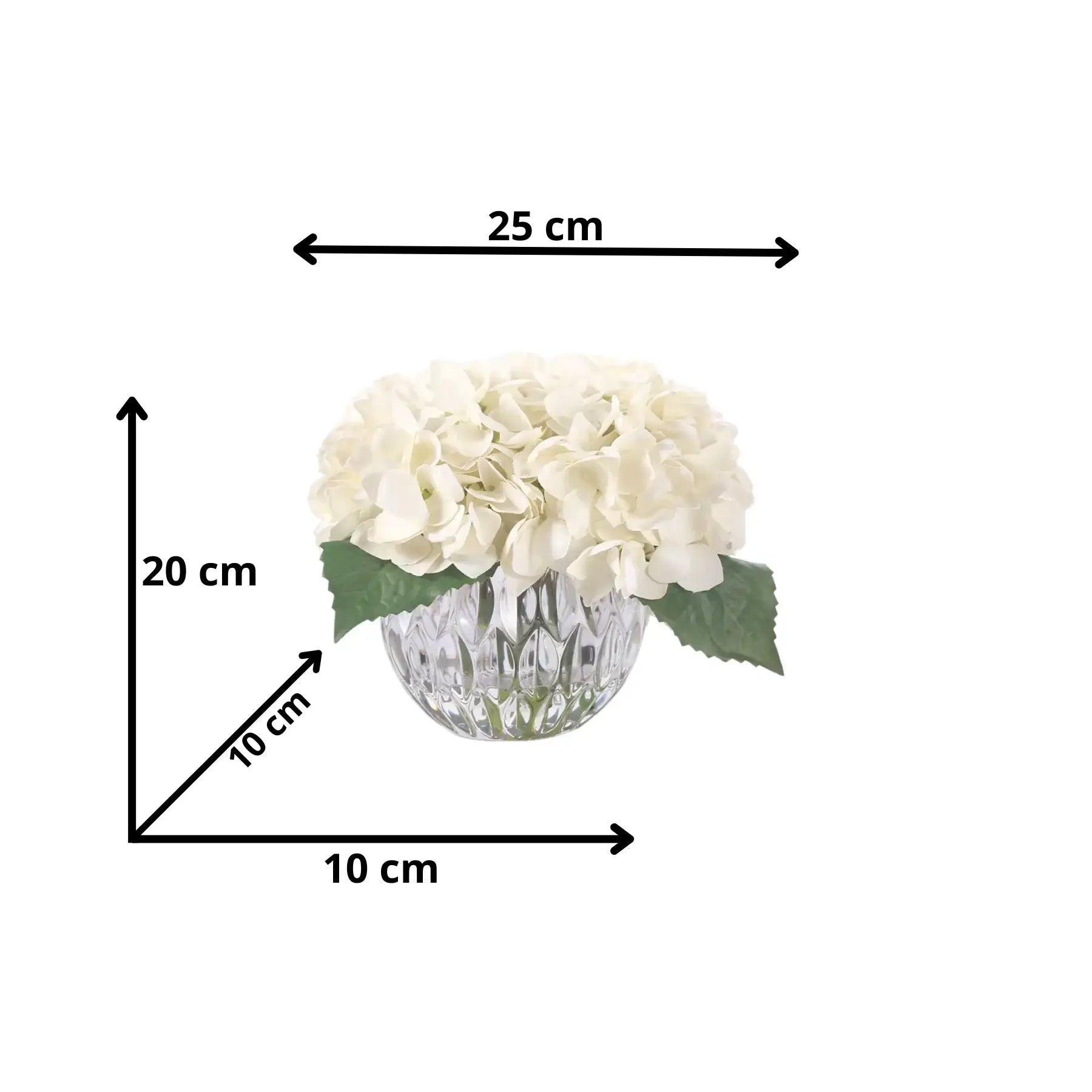 Elegantes Geschenkset mit weißer Hortensie – perfekte Duftblumen für den Valentinstag