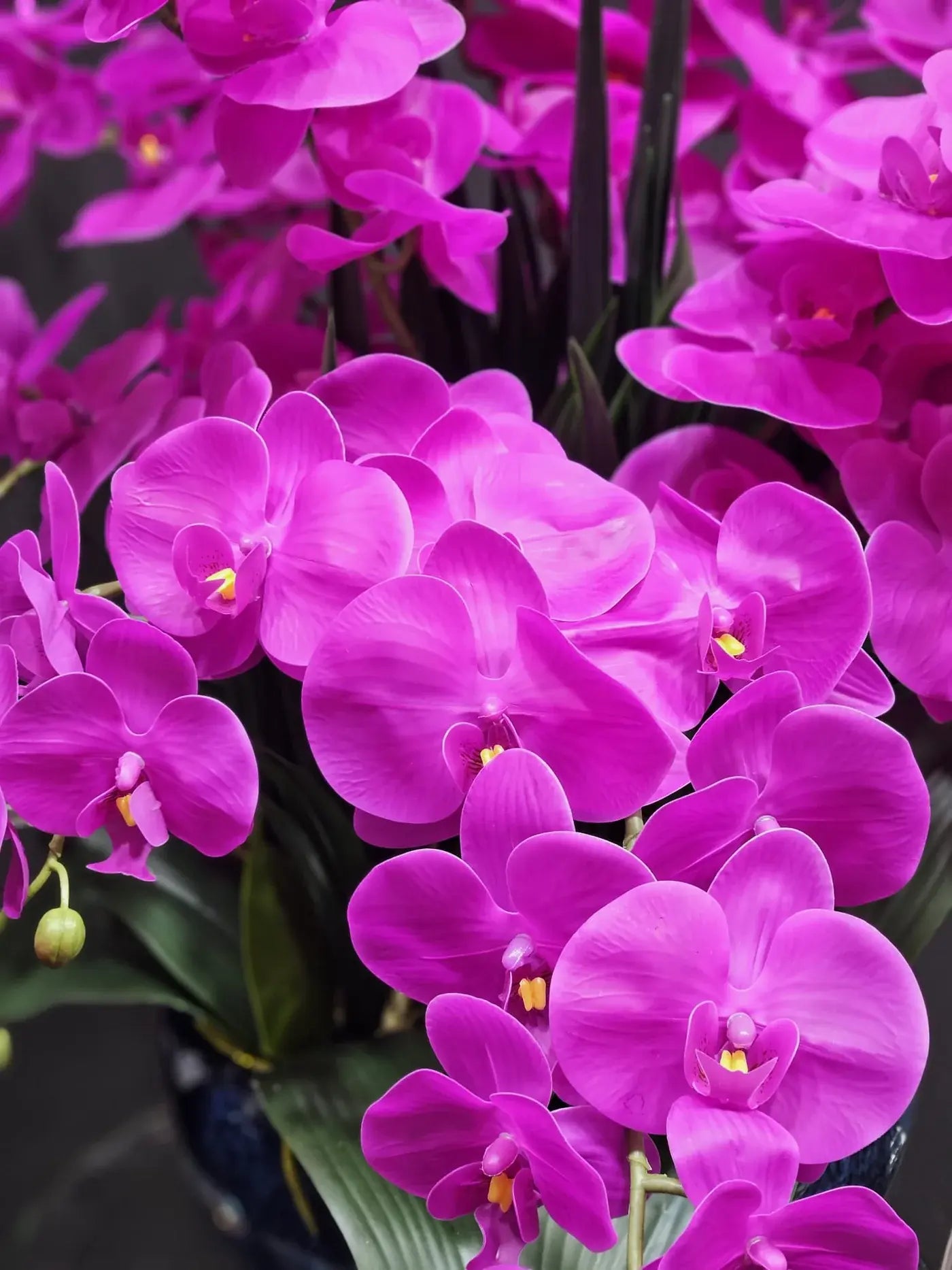 Ausdrucksstarkes Blumenarrangement mit pinken Orchideen – ideales Geschenk zum Valentinstag