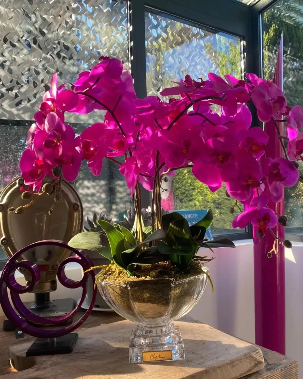 Luxuriöses Arrangement aus pinken Orchideen – jetzt Ihre Duftblumen online kaufen