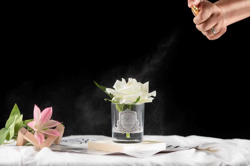 single rose duftblume mit silbernem emblem auf weisser unterlage vor schwarzem hintergrund wird mit duftspray besprueht.