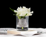 single rose duftblume mit silbernem emblem auf weisser unterlage vor schwarzem hintergrund.
