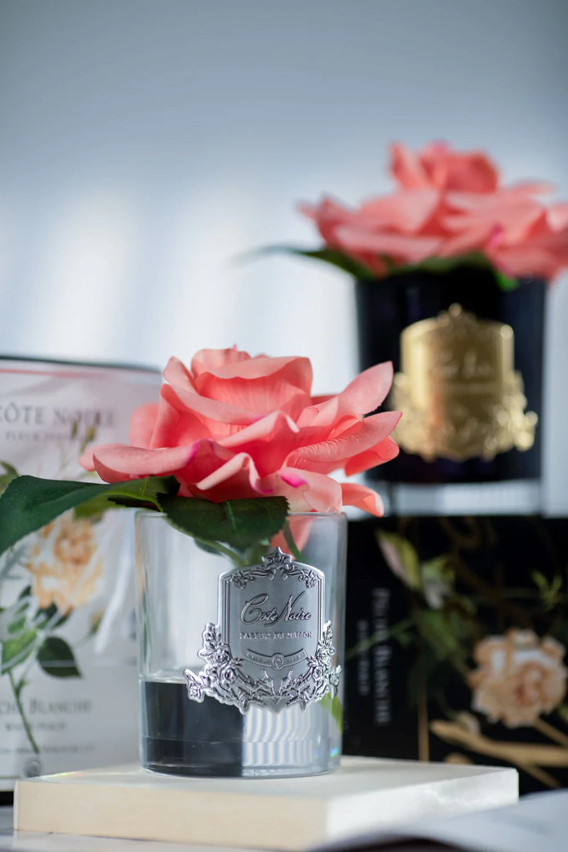 pfirsichfarbene single rose duftblume mit silbernem emblem  mit weiteren produktverpackungen  im hintergrund