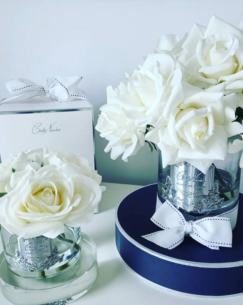 5 weisse rosen im glas mit silbernem emblem auf weißem tisch. set aus mehreren  - clear - ivory white- duftblumen daneben