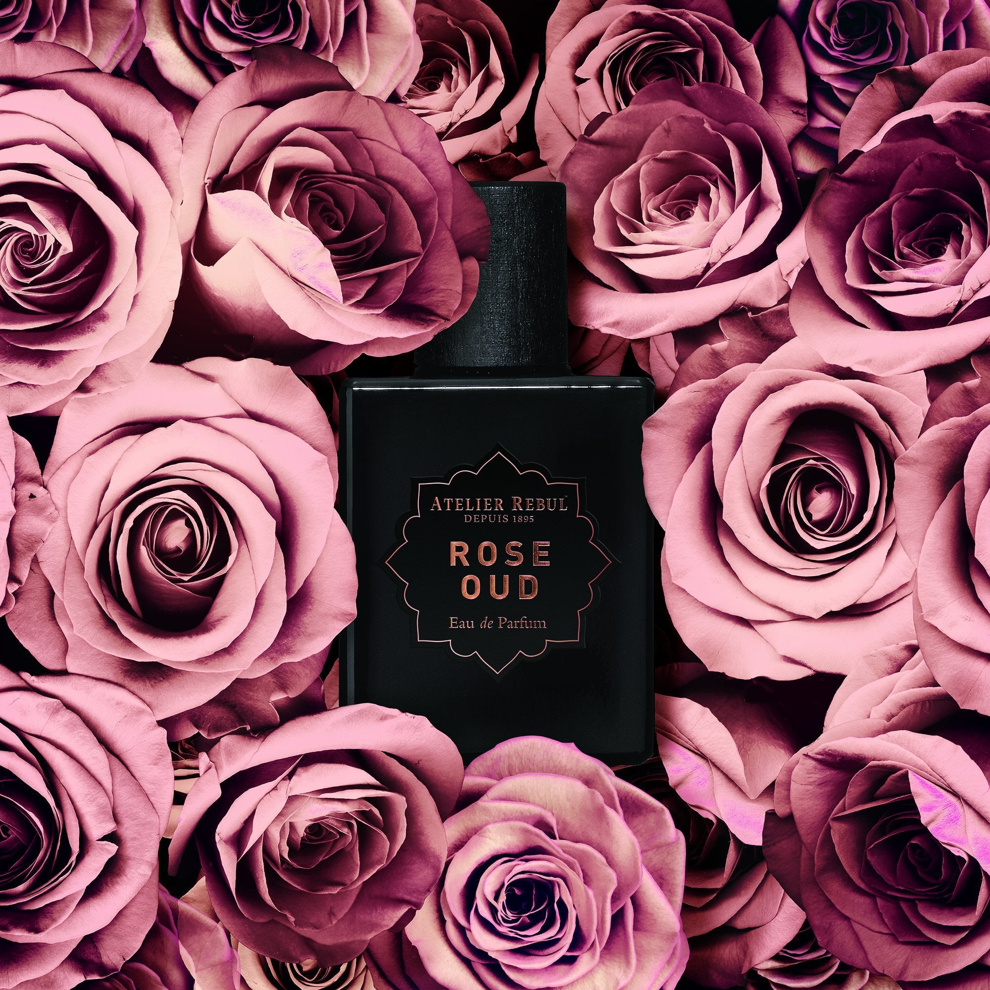 Rose Oud Eau de Parfum Damen 50ml